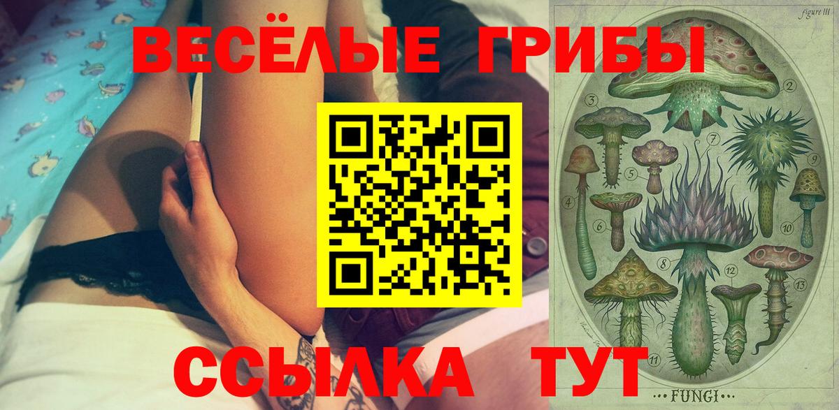 Красногорск  Галлюциногенные грибы Cubensis  Вход с VPN 